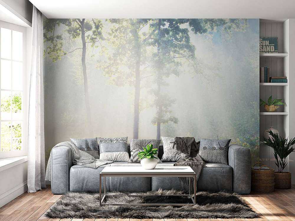 Una foresta misteriosa