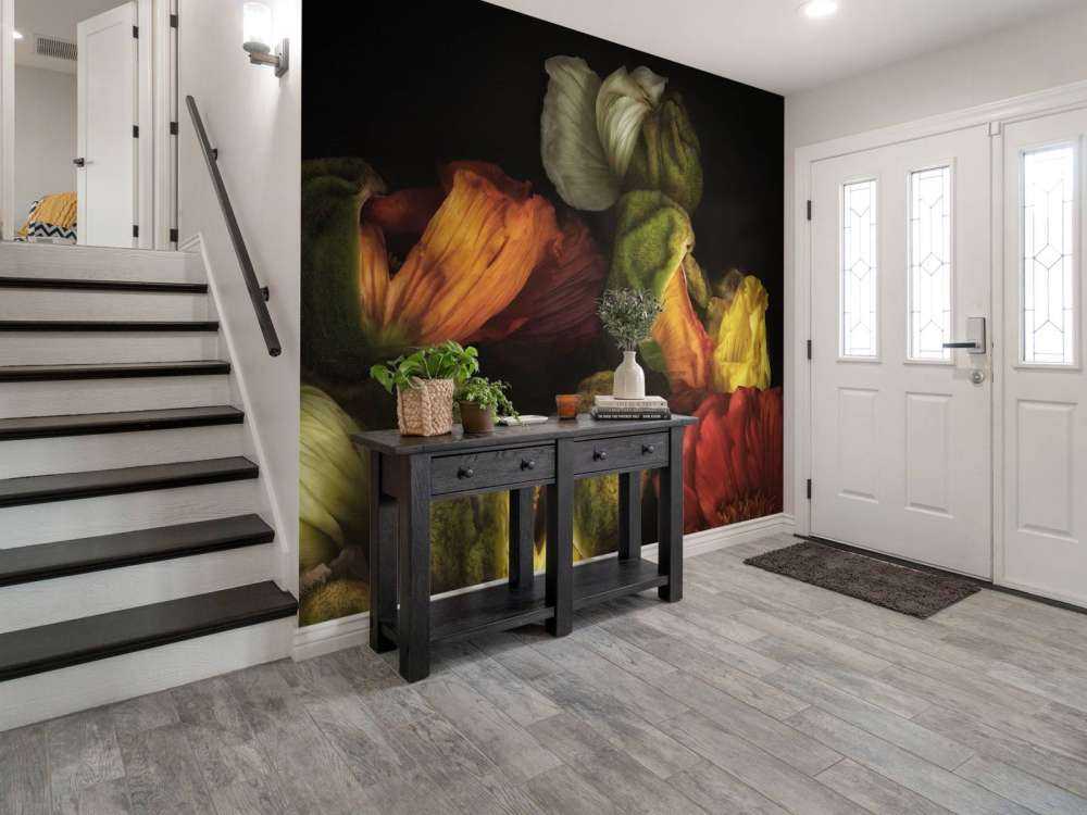 Papaveri compositi in erba