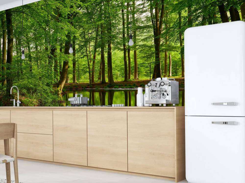 Riflessione di alberi in acqua