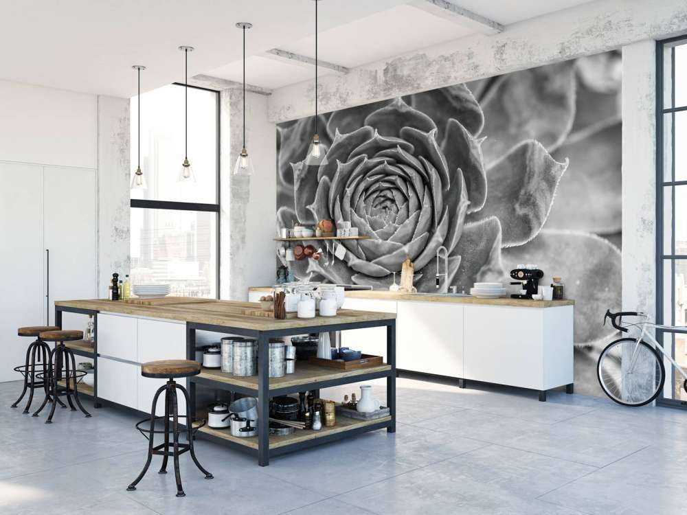 Succulento primo piano