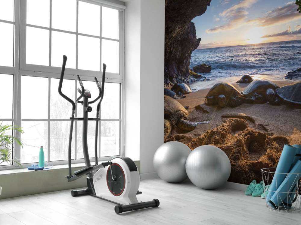 Tartarughe in una grotta