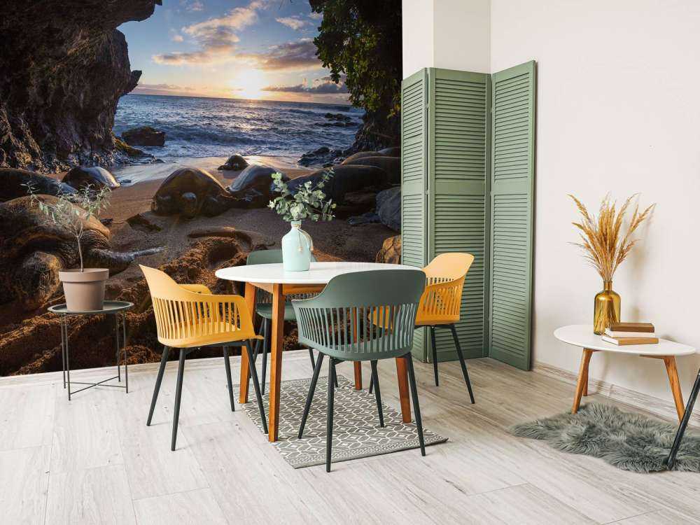 Tartarughe in una grotta