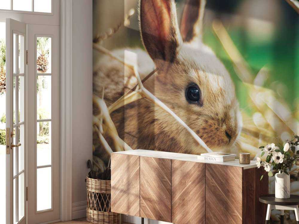 Coniglio nella paglia