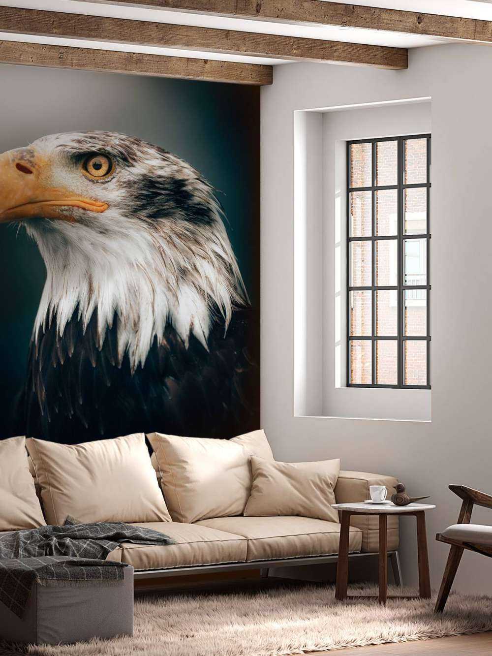 Aquila di mare primo piano