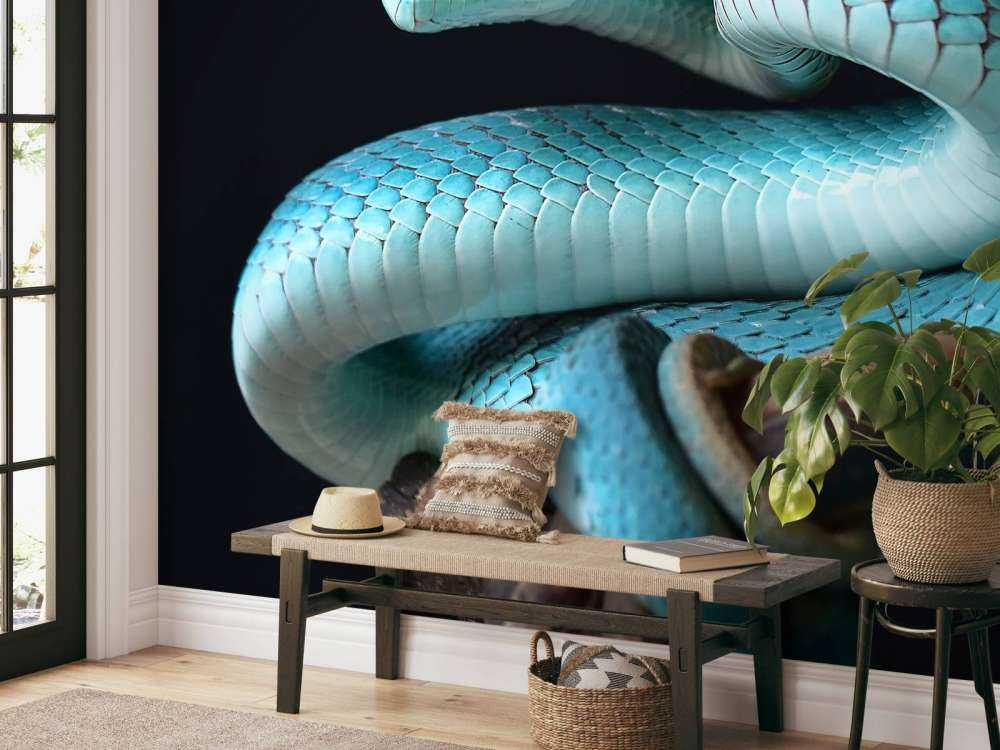 Serpente blu insulare