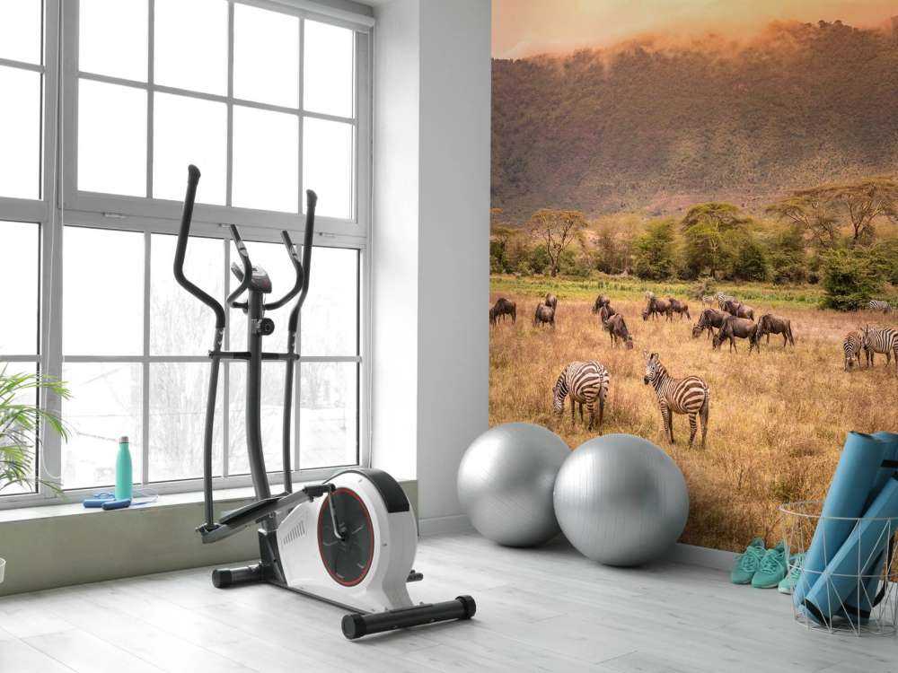 Savana paesaggio con zebre