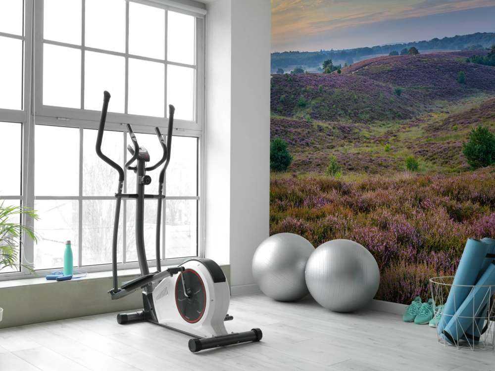 Colline della brughiera