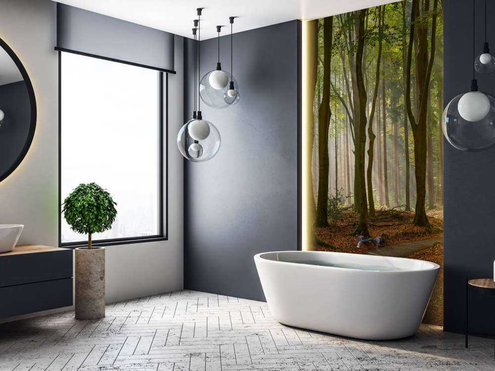 Raggi di sole al percorso attraverso la foresta