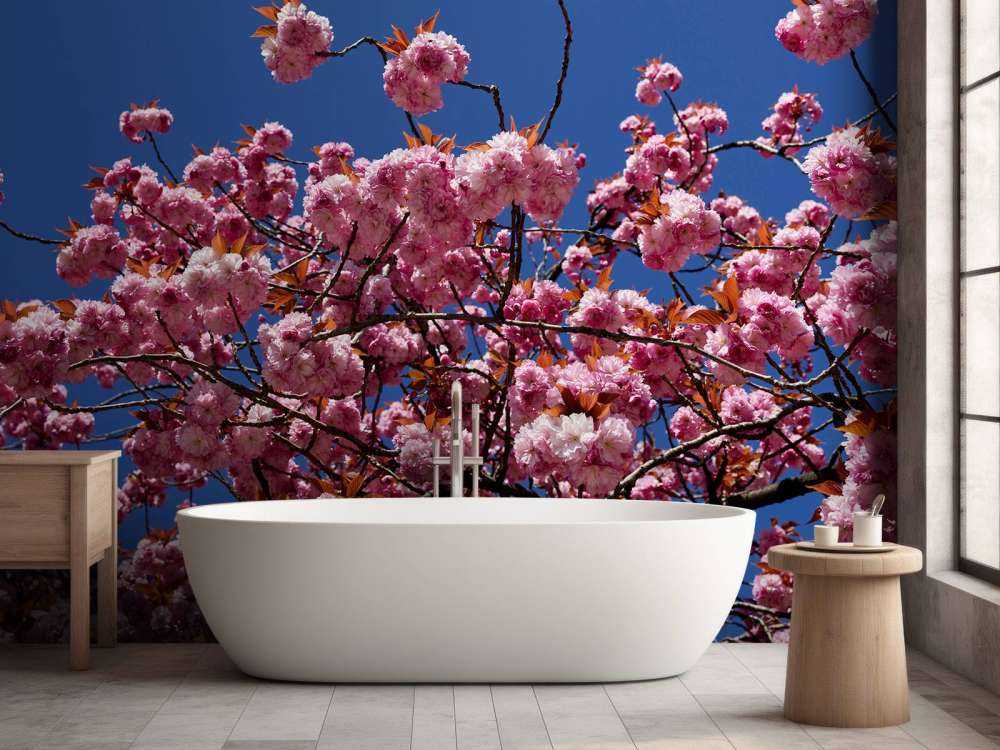 Fiore rosa con cielo blu