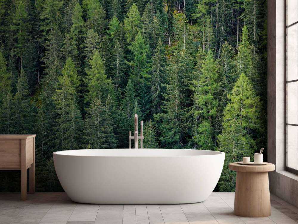 Foresta di abete verde