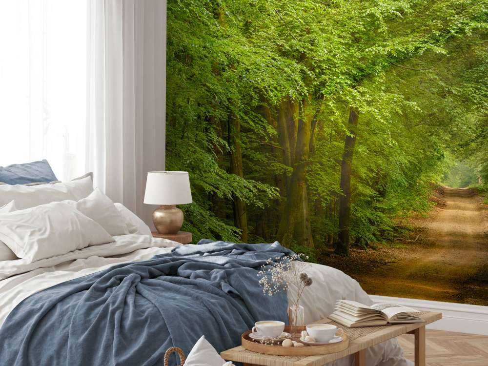 Rospo nella foresta con raggi di sole 