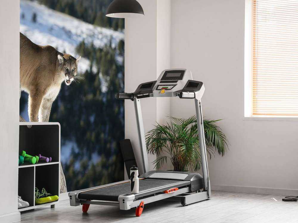 Leone di montagna su un albero morto