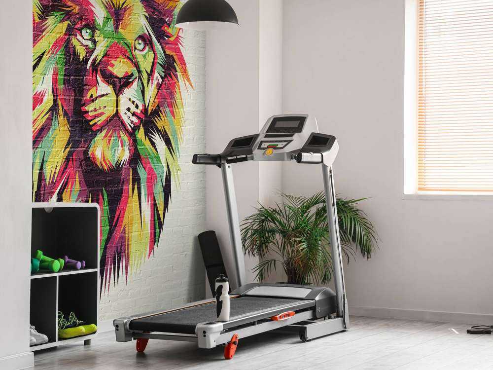 Graffiti di un leone