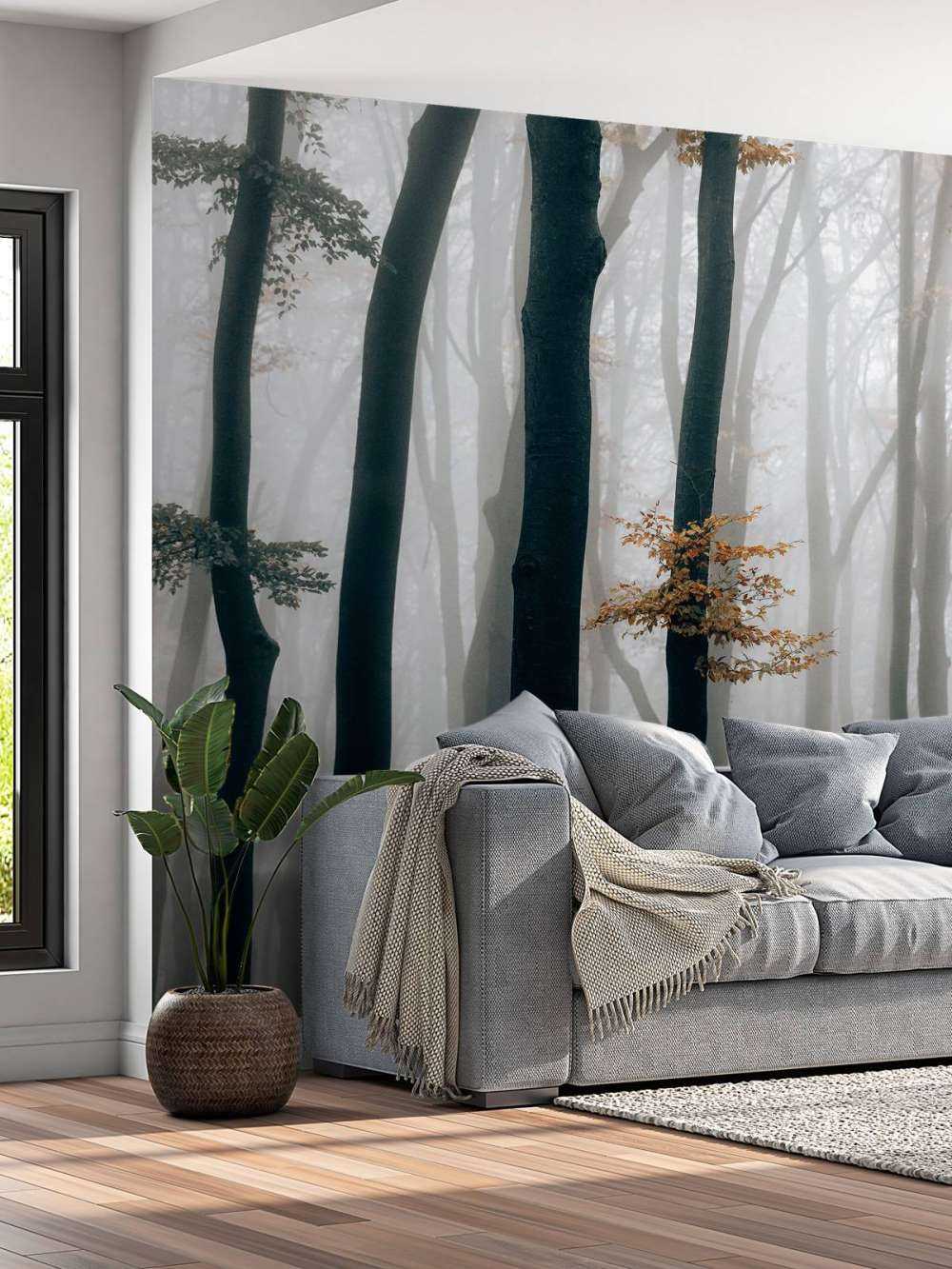 Nebbia nella foresta di faggi