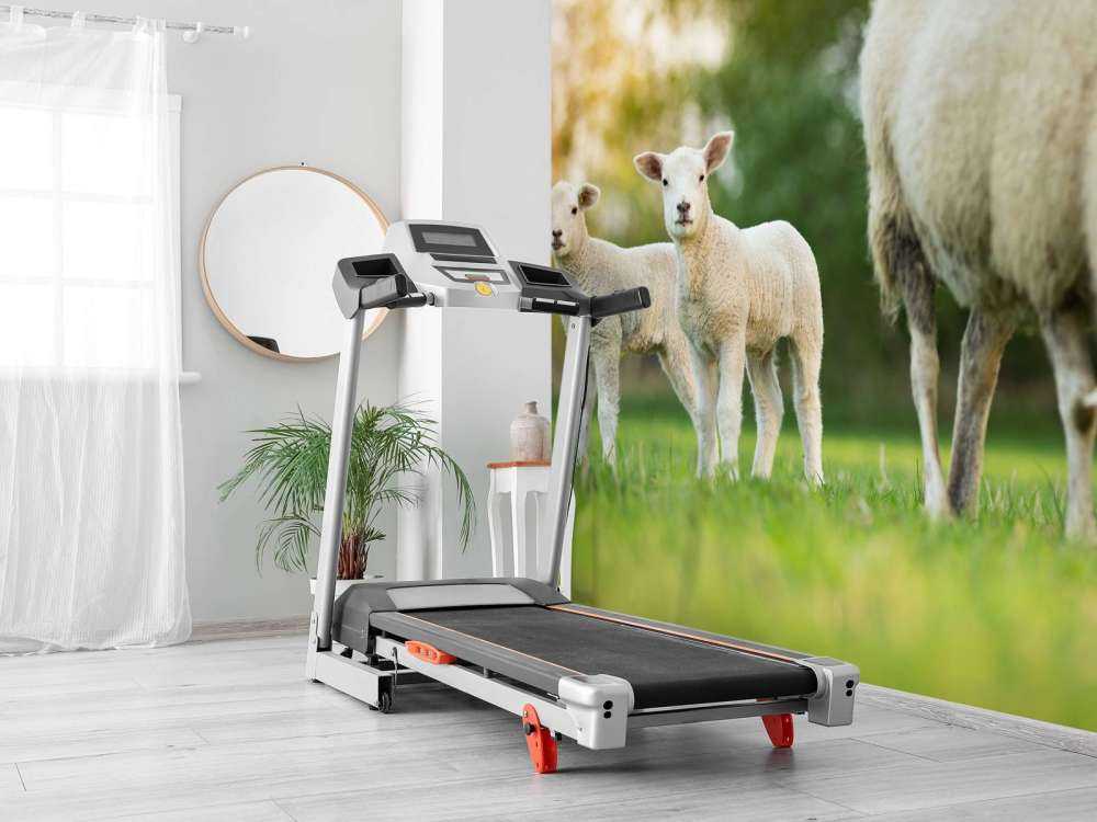 Madre pecora con agnelli