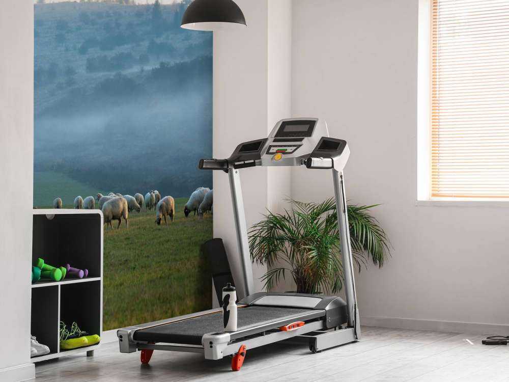 Gregge di pecore con paesaggio nebbioso