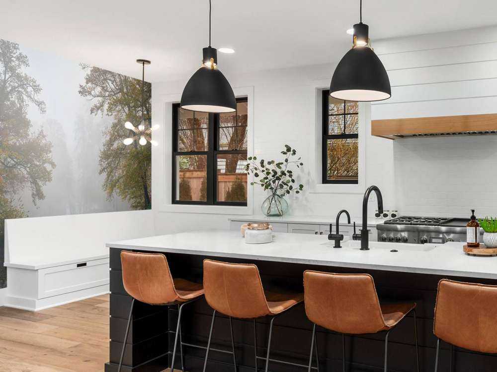 Stagno della foresta nella nebbia