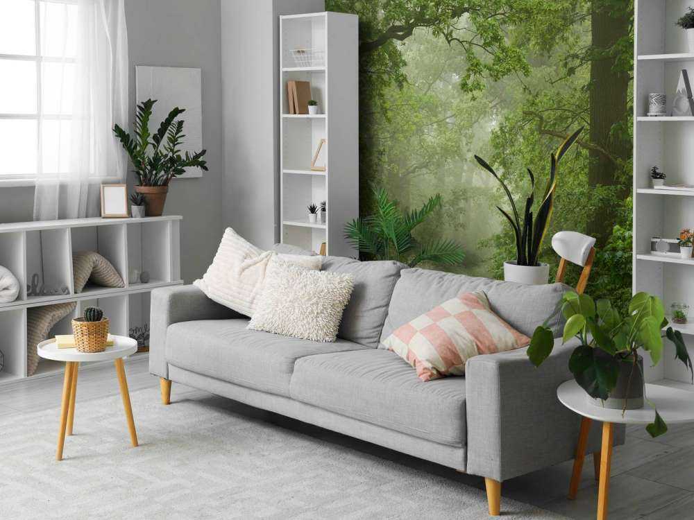 Foresta nebbiosa con sentiero