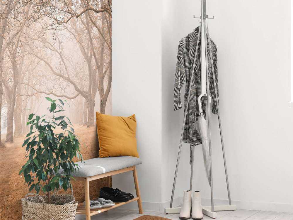 Fila di alberi secolari