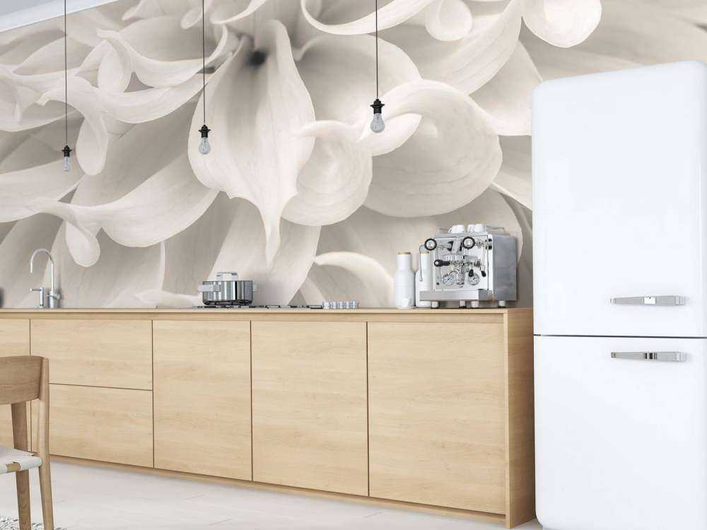 Primo piano di un fiore di Dalia