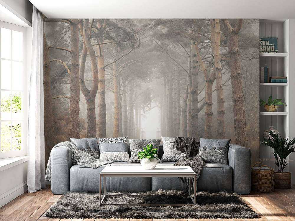 Foresta nella nebbia