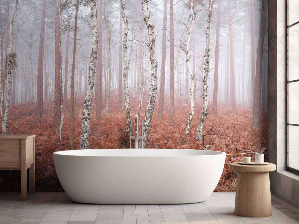 Foresta nebbiosa e deserta