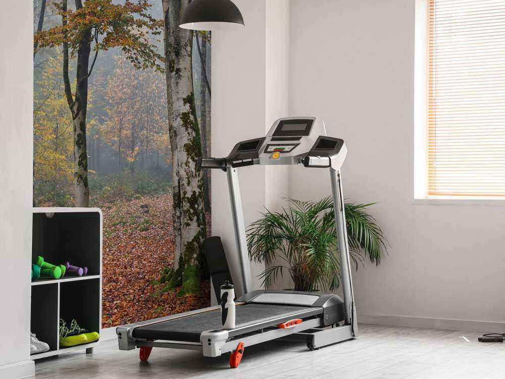 Bosco di betulle in autunno