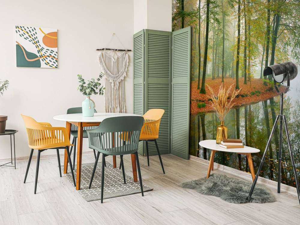 Riflessione degli alberi nello stagno