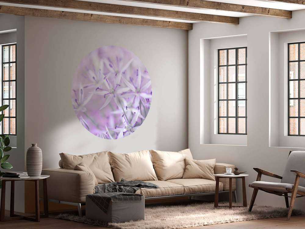 Primo piano di fiori di allium