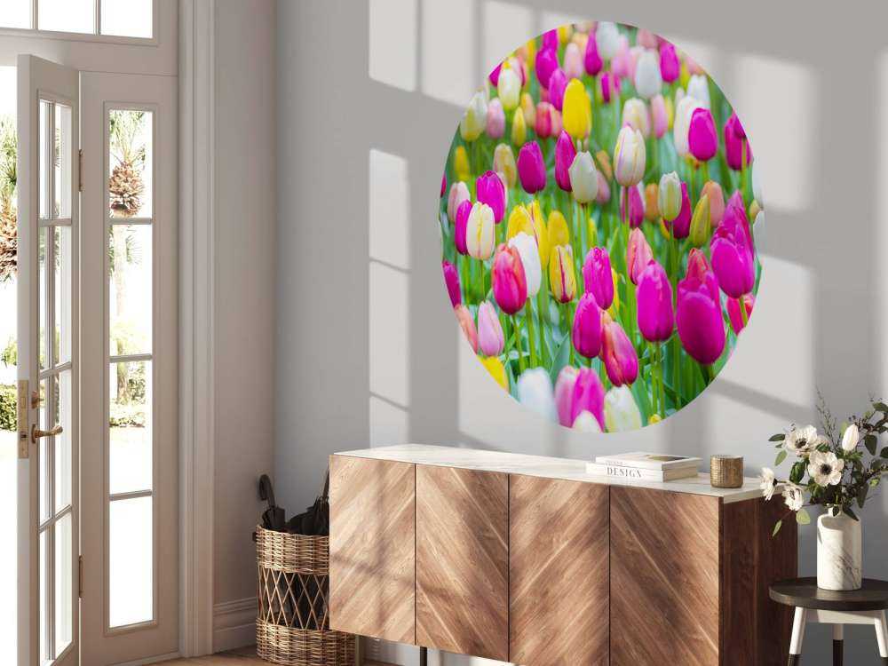 Tulipani colorati in un campo