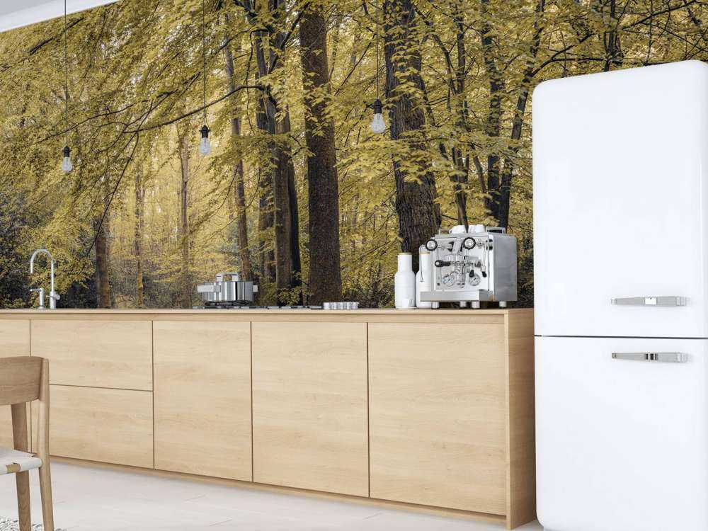 Sentiero nel verde della foresta