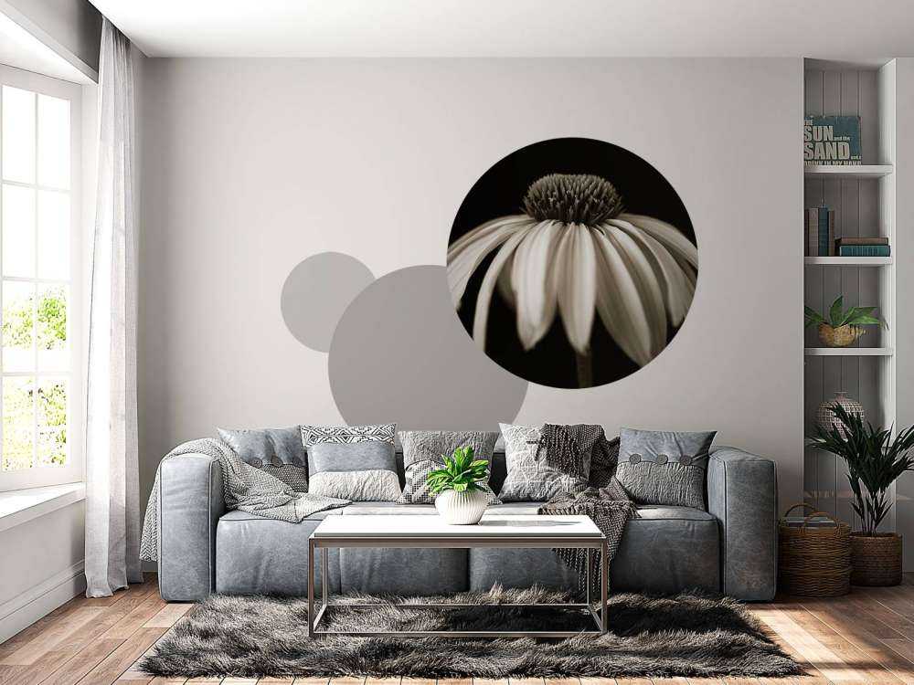 Primo piano del fiore a cono