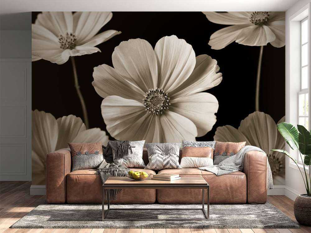 Fiore multiplo di Cosmos