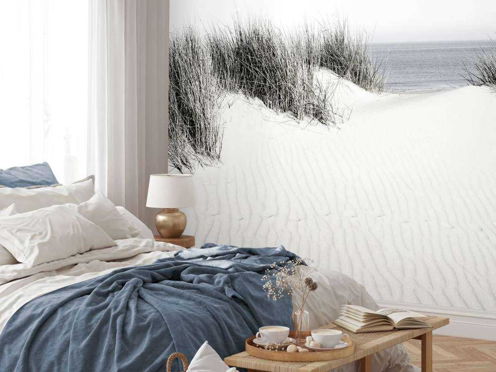 Passaggio dalla duna alla spiaggia in bianco e nero