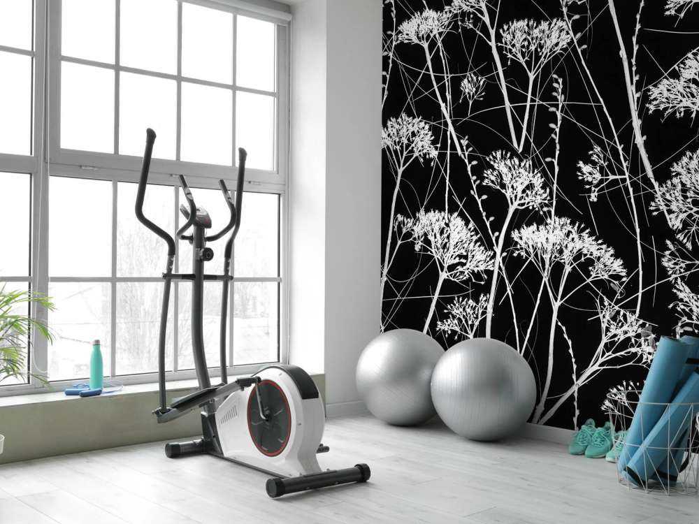 Silhouette di piante secche