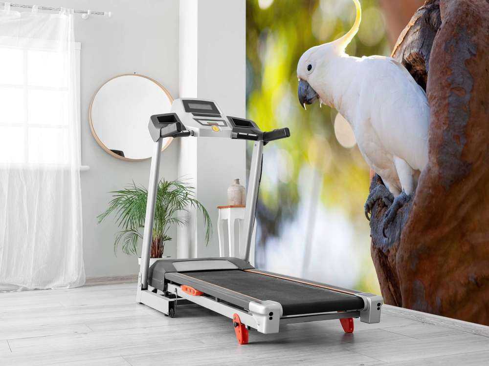 Cacatua in cavità dell'albero