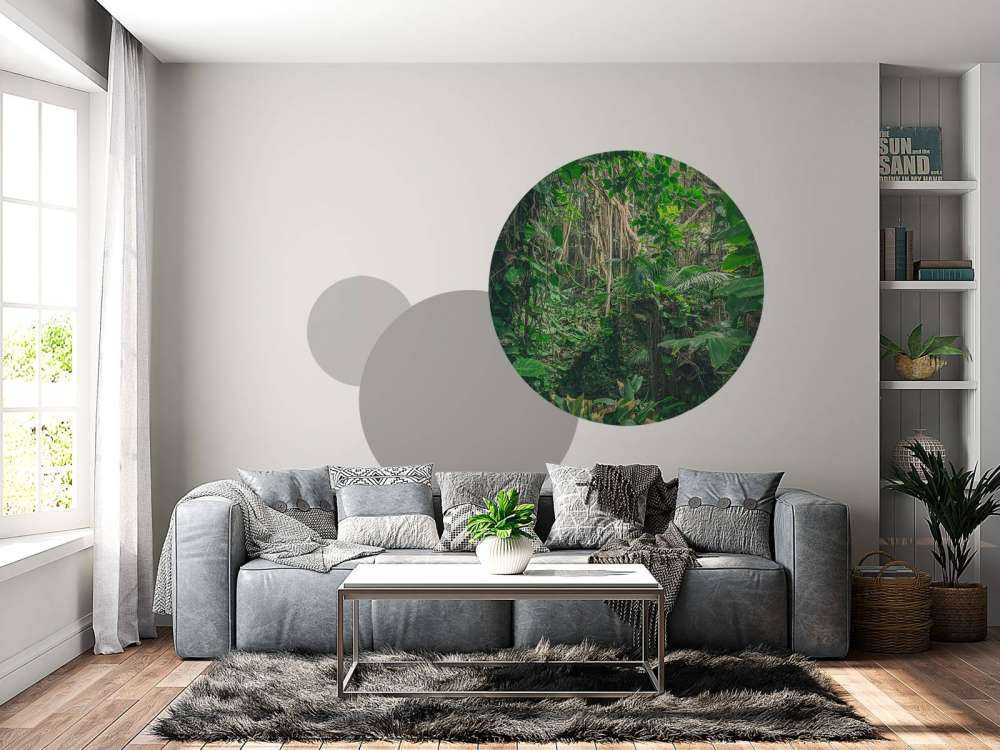 Rami nella foresta pluviale