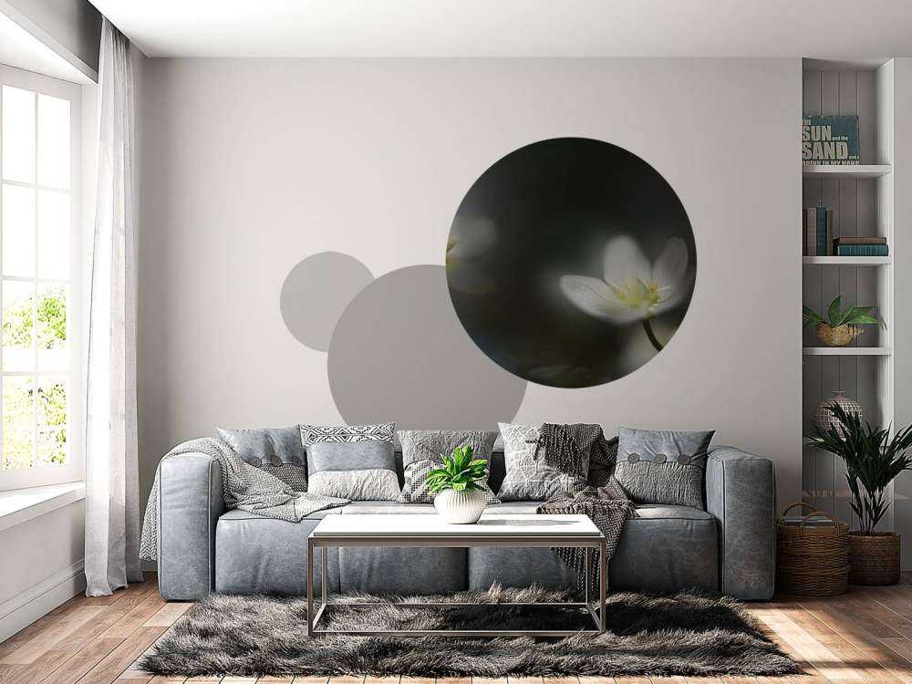 Light in the darkness