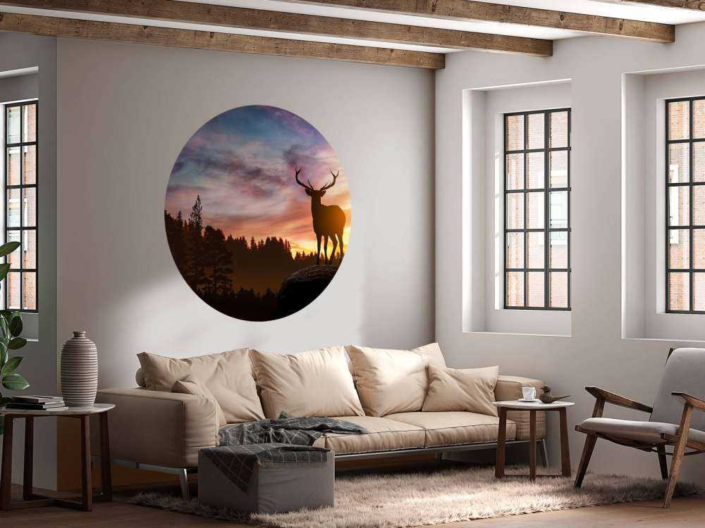 Cervo con tramonto
