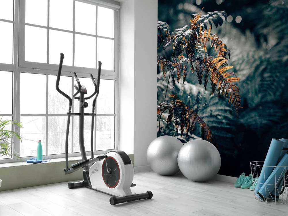 Navigazione autunnale