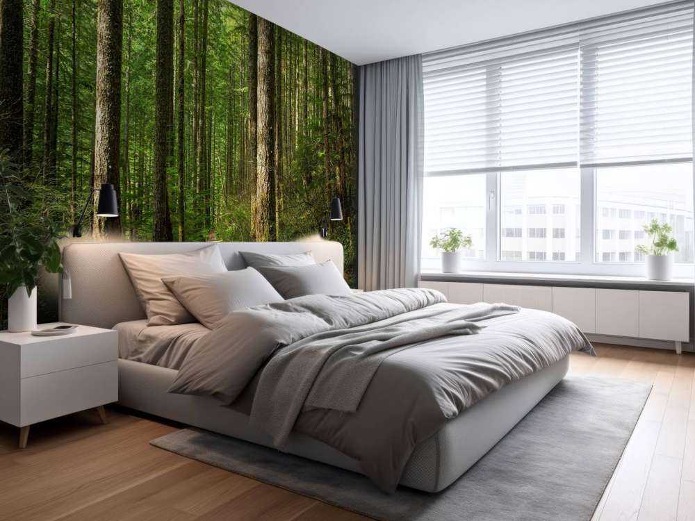 Sentiero nella foresta