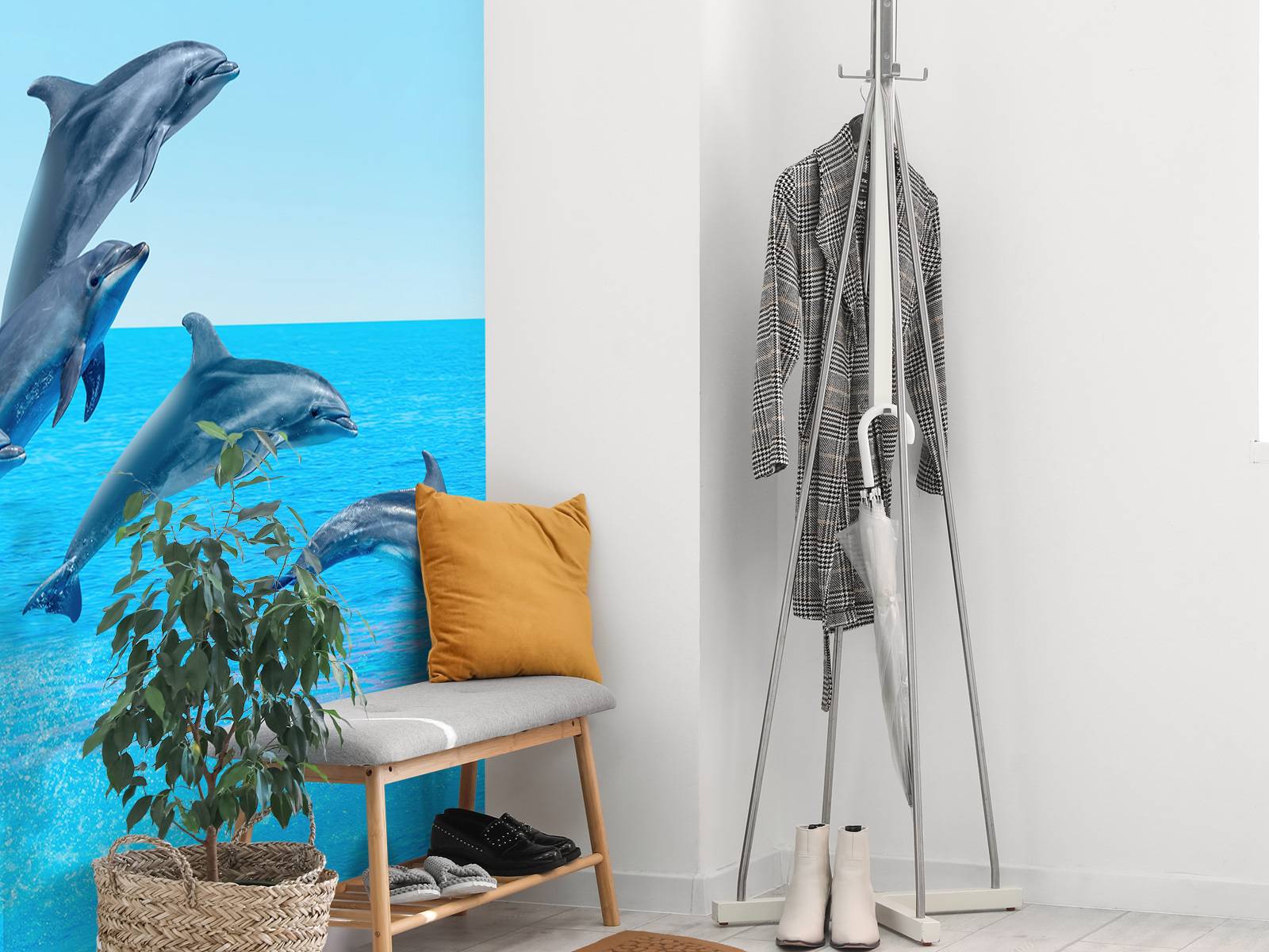 Delfini che saltano, image size:1600x1200