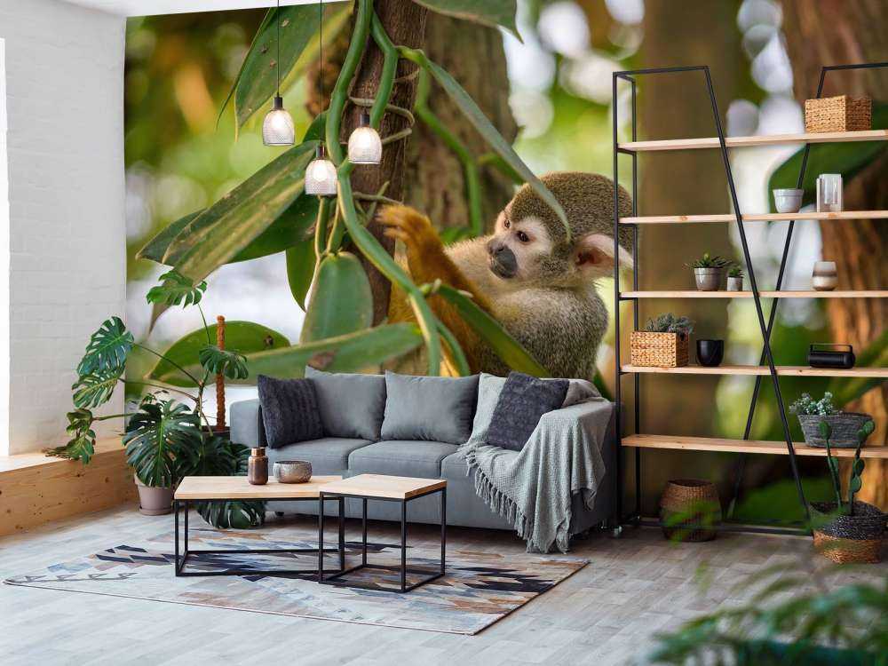 Piccola scimmia tra gli alberi