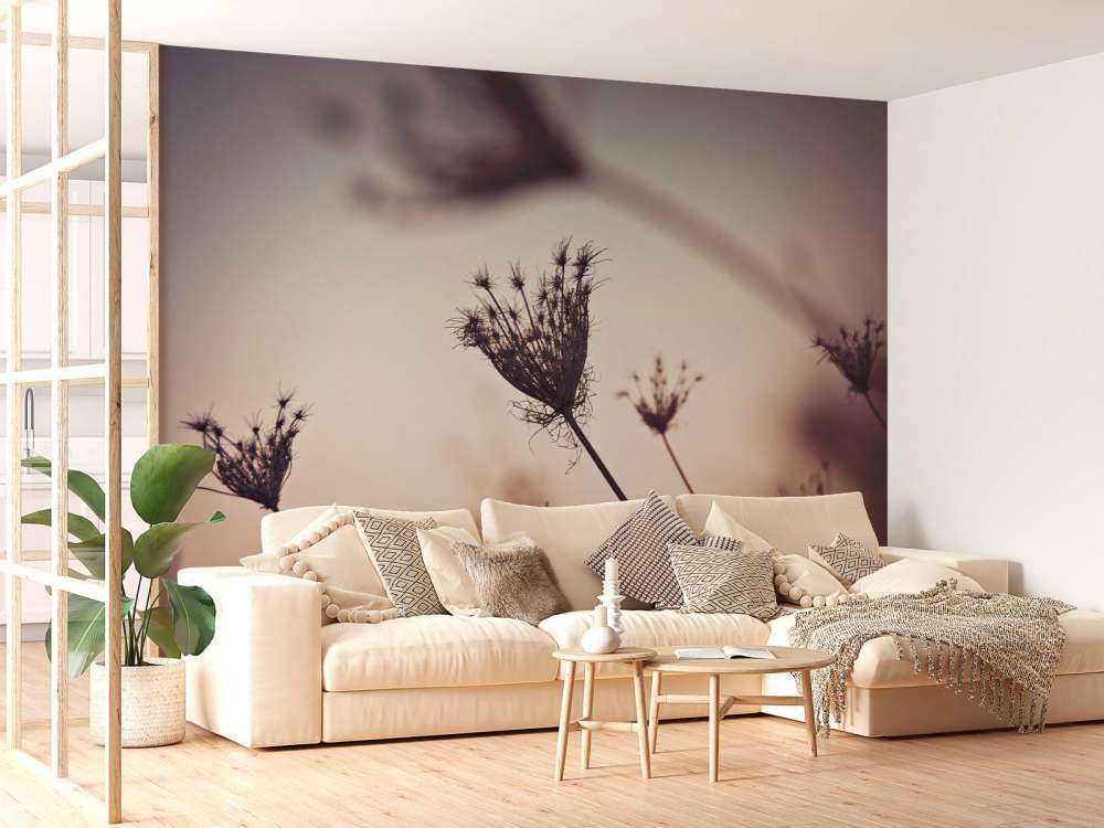 Silhouette di piante