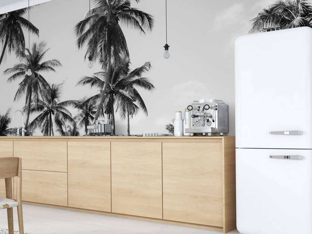 Palme in bianco e nero