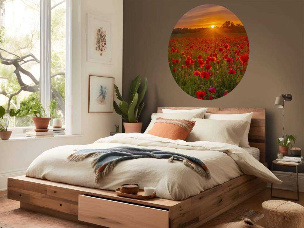 Campo di papaveri in fiore