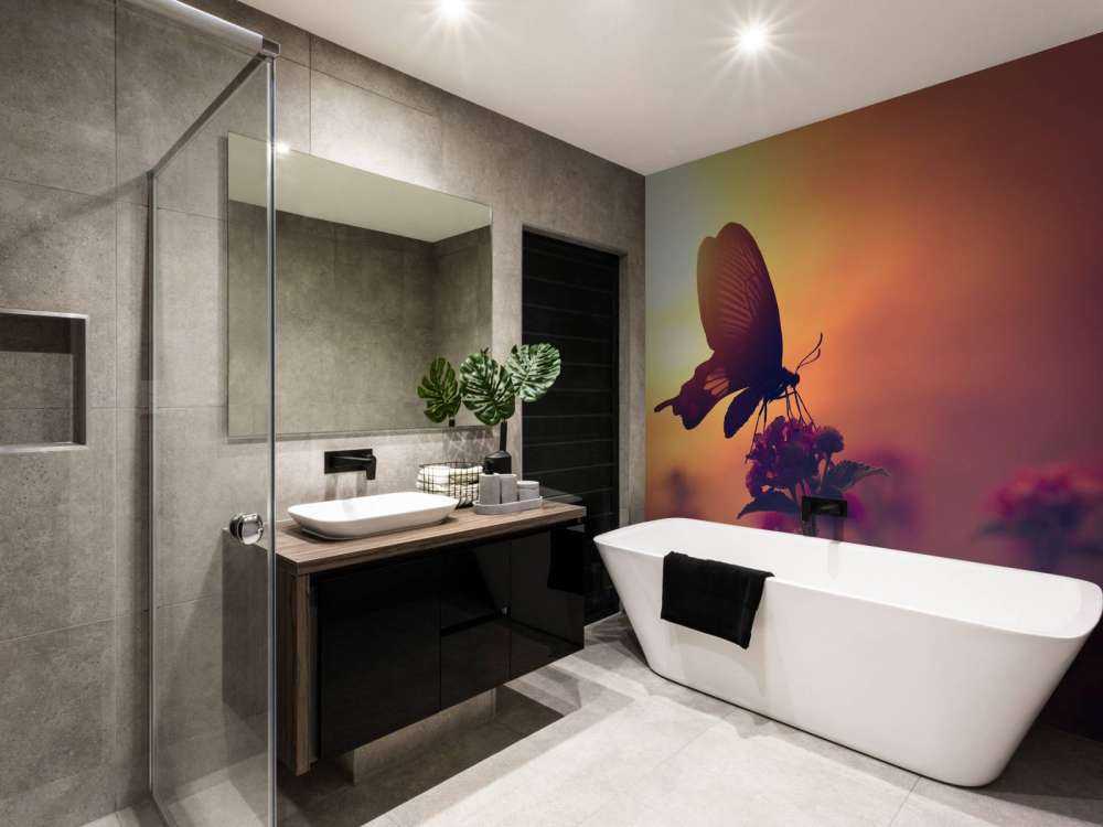 Farfalla con il tramonto