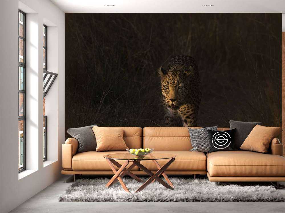 Leopardo con tramonto