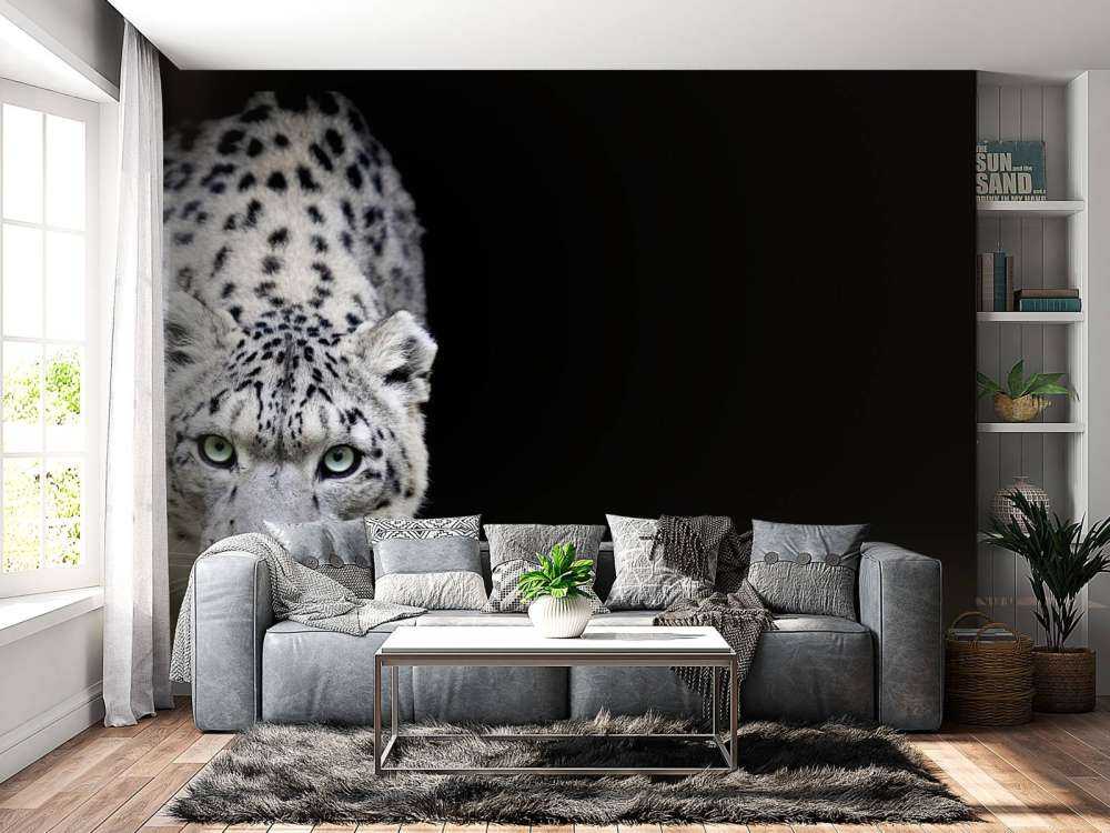 Leopardo delle nevi
