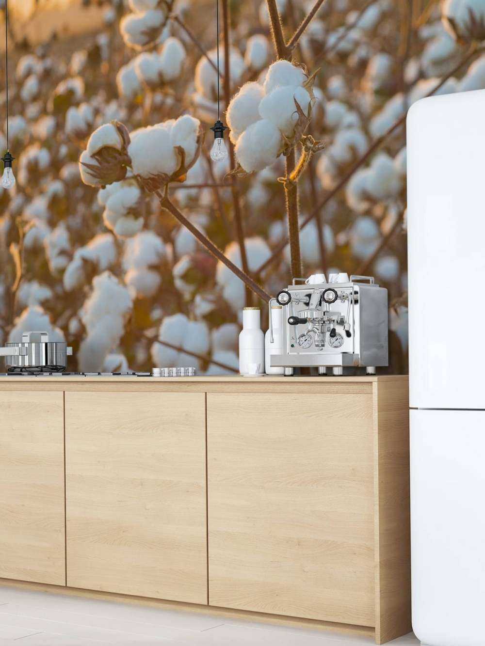 Campo di cotone con cielo giallo dorato